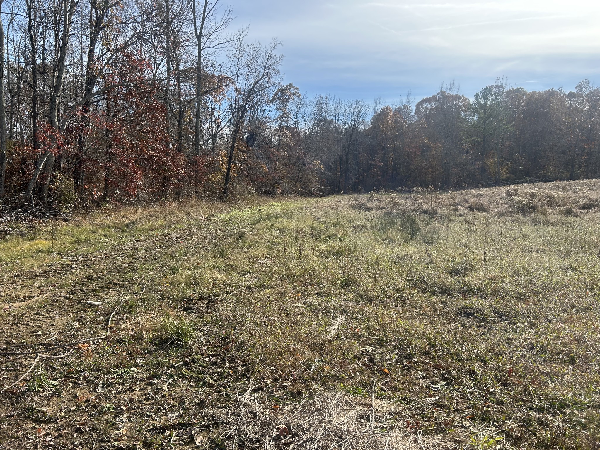 0 Sulphur Creek Road Big Sandy, TN 38221 - Photo 2 of 16