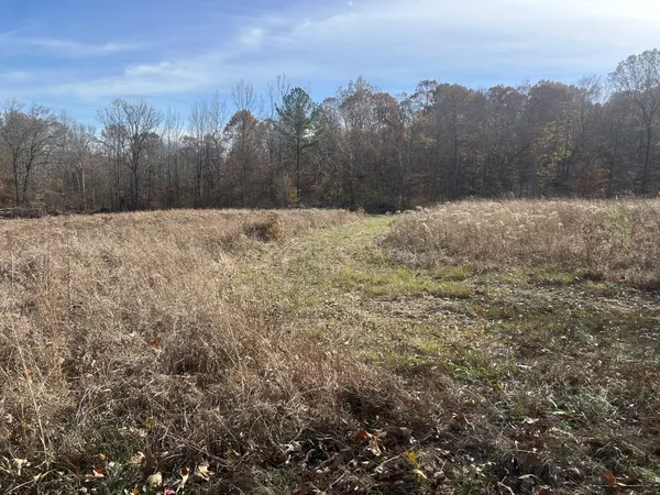 $215,000 | 0 Sulphur Creek Road, Big Sandy, TN 38221