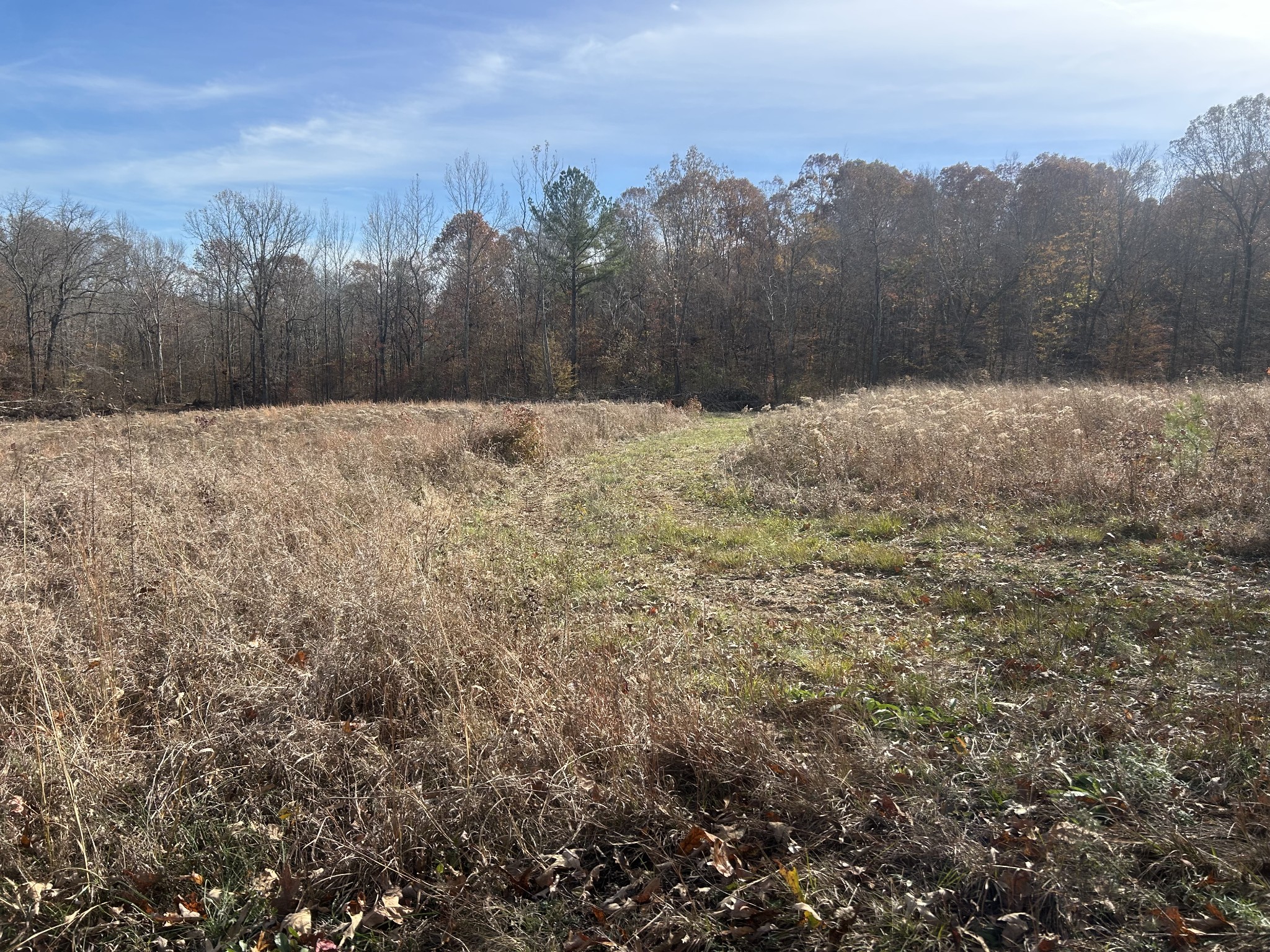 0 Sulphur Creek Road Big Sandy, TN 38221 - Photo 3 of 16