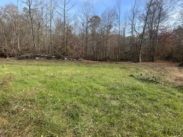 $215,000 | 0 Sulphur Creek Road, Big Sandy, TN 38221