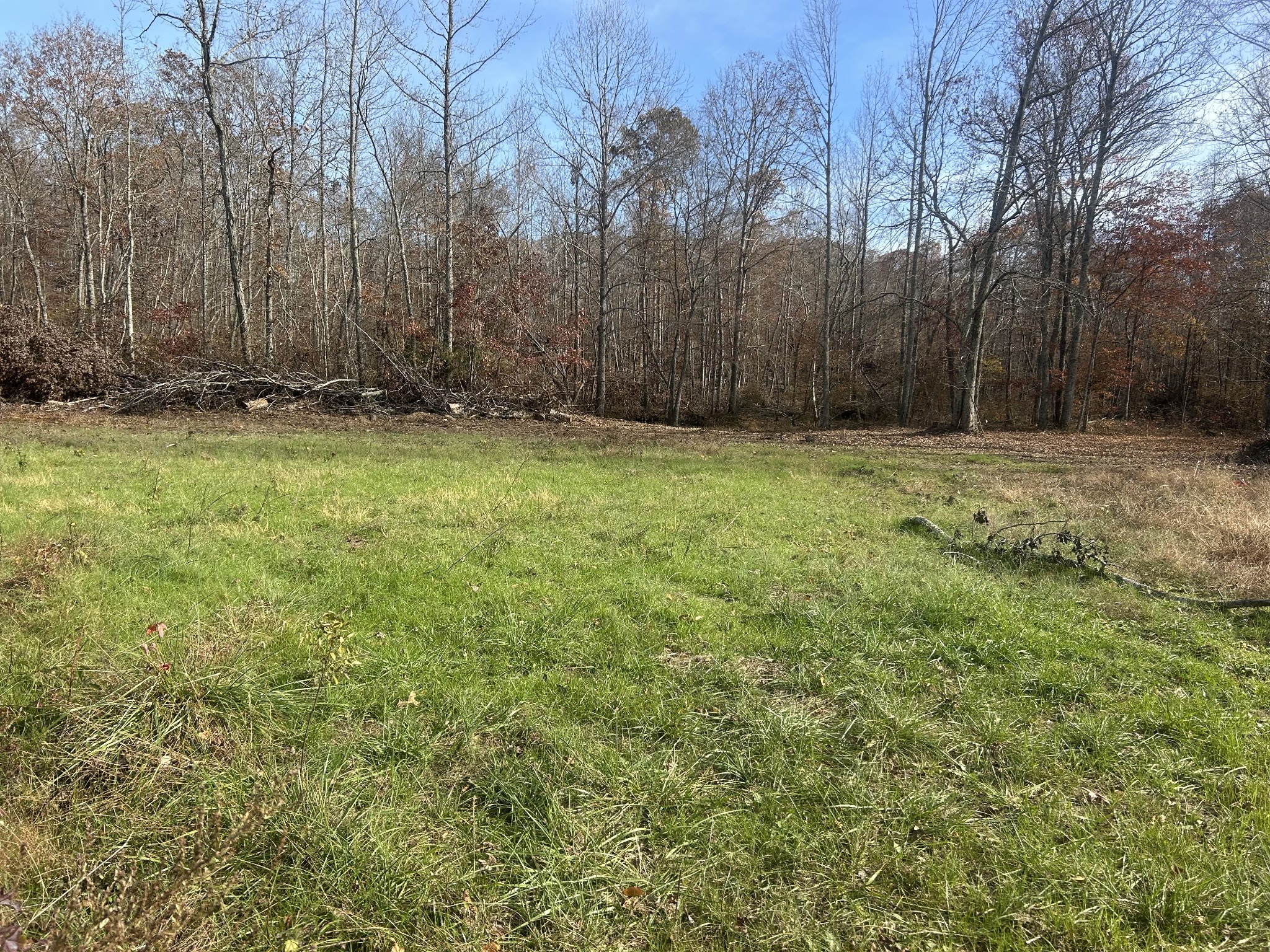 0 Sulphur Creek Road Big Sandy, TN 38221 - Photo 4 of 16