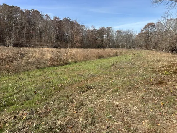 $215,000 | 0 Sulphur Creek Road, Big Sandy, TN 38221