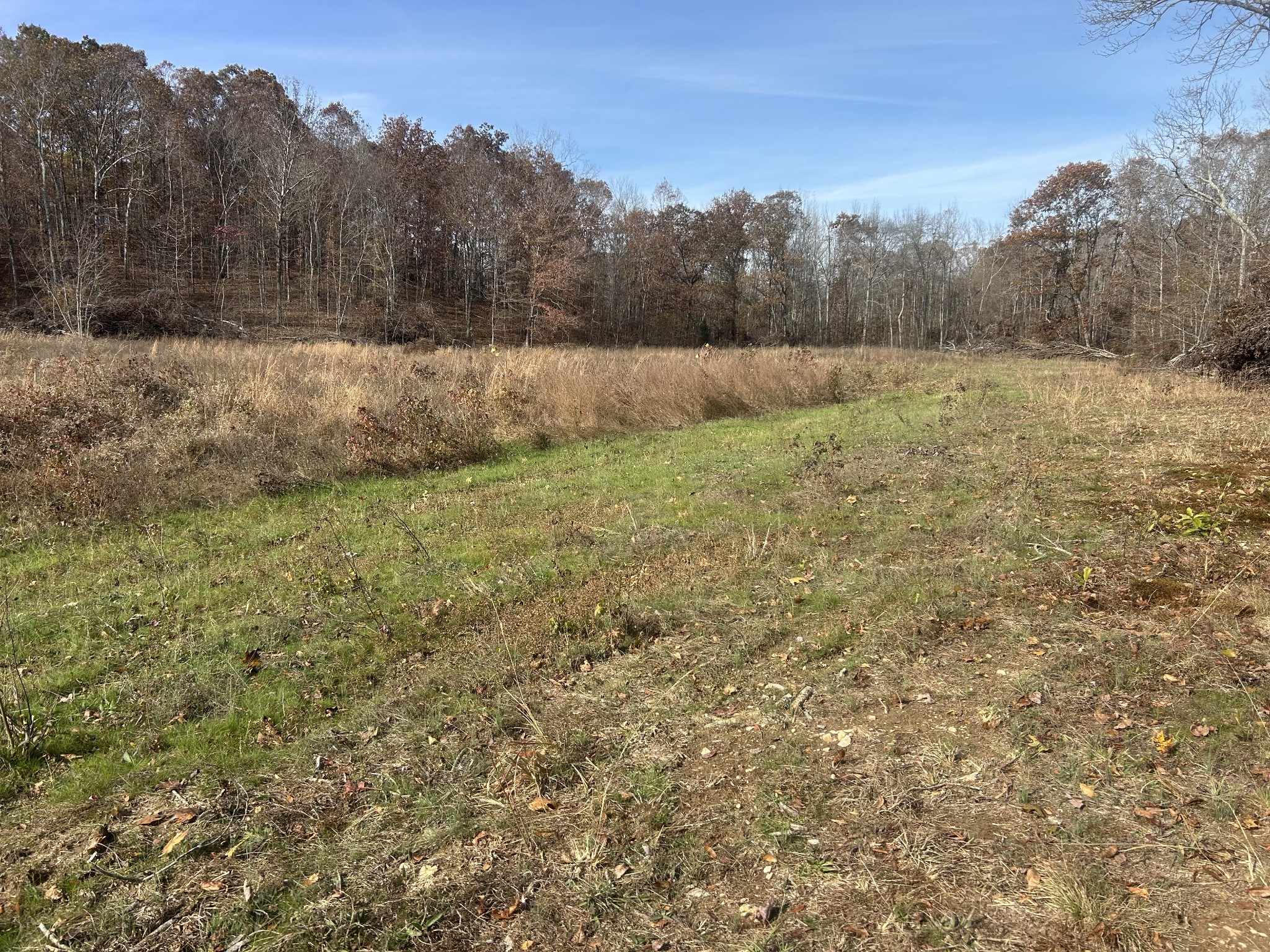 0 Sulphur Creek Road Big Sandy, TN 38221 - Photo 5 of 16