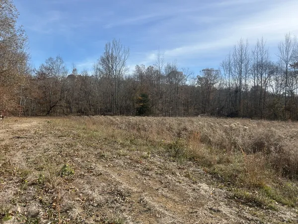 $215,000 | 0 Sulphur Creek Road, Big Sandy, TN 38221