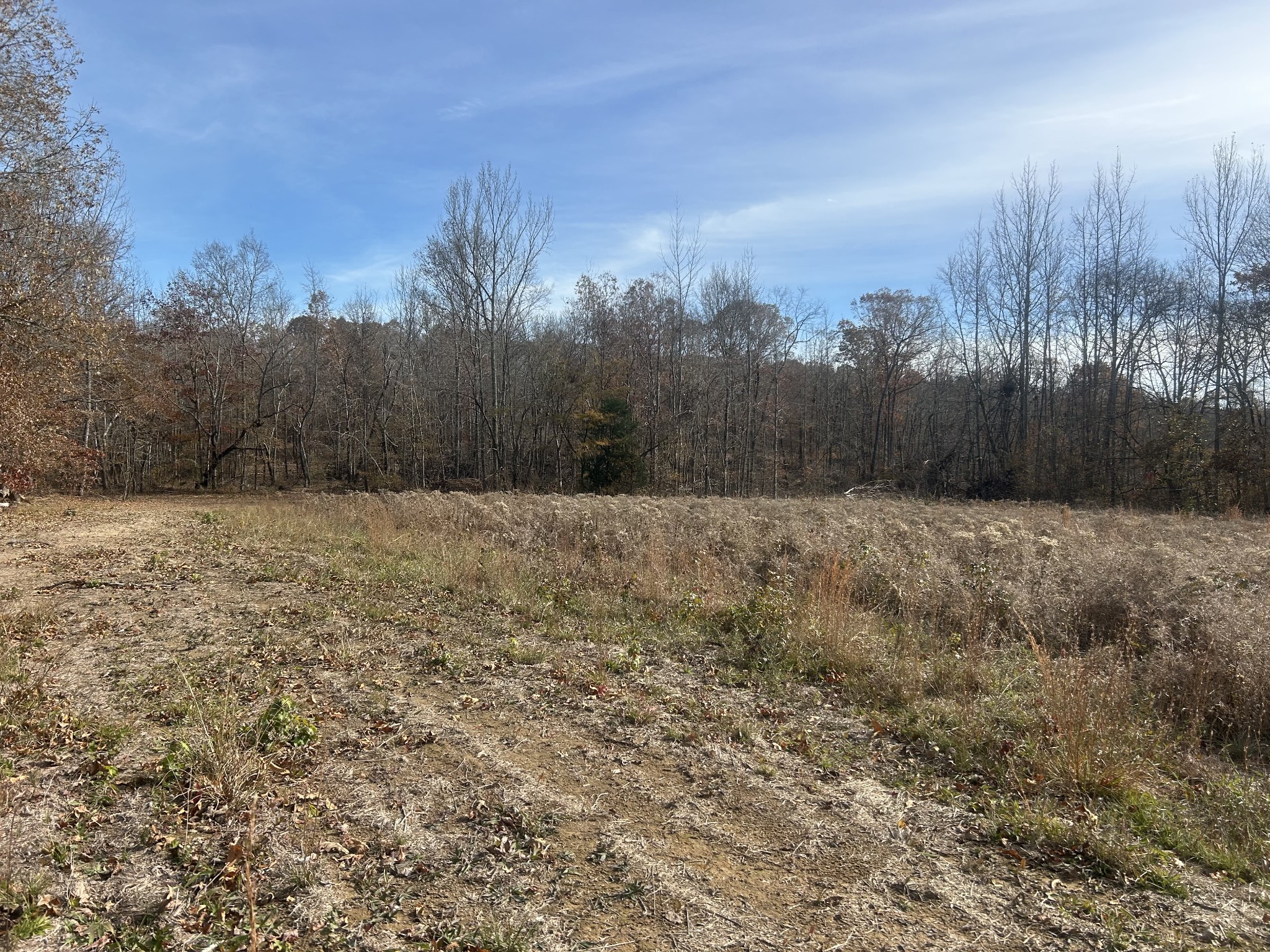 0 Sulphur Creek Road Big Sandy, TN 38221 - Photo 6 of 16