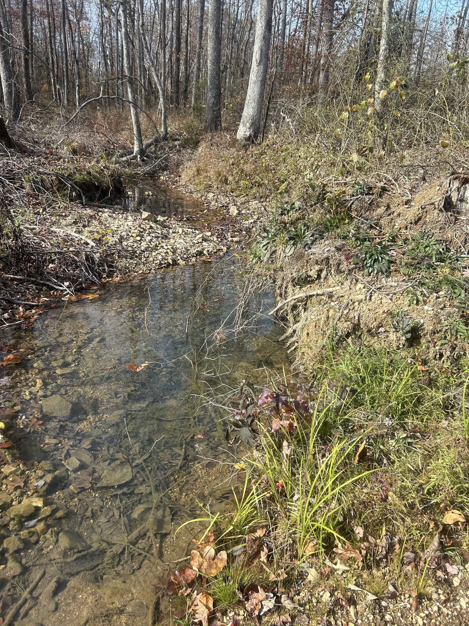 0 Sulphur Creek Road Big Sandy, TN 38221 - Photo 7 of 16