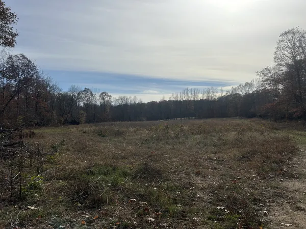 $215,000 | 0 Sulphur Creek Road, Big Sandy, TN 38221