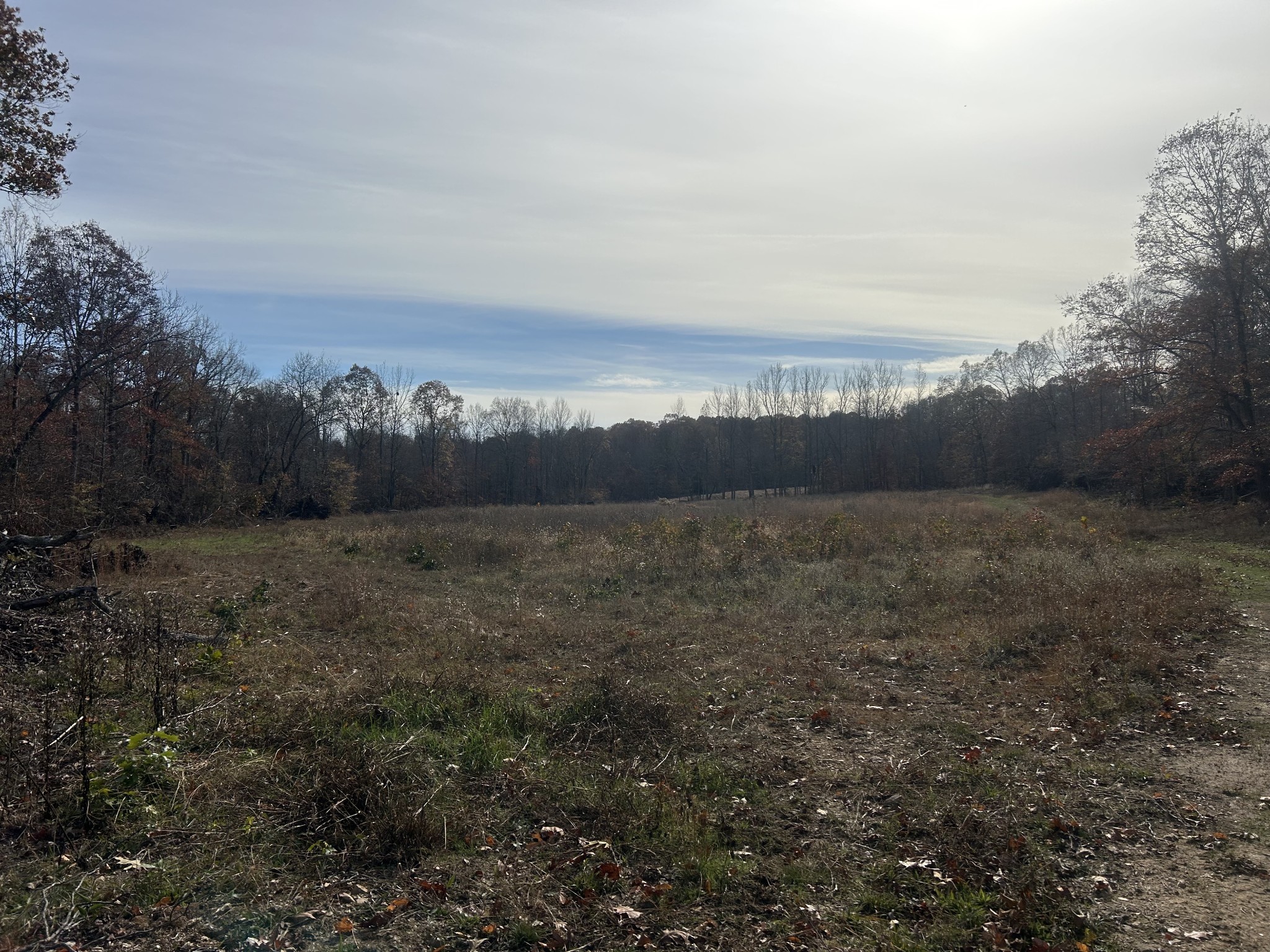 0 Sulphur Creek Road Big Sandy, TN 38221 - Photo 8 of 16