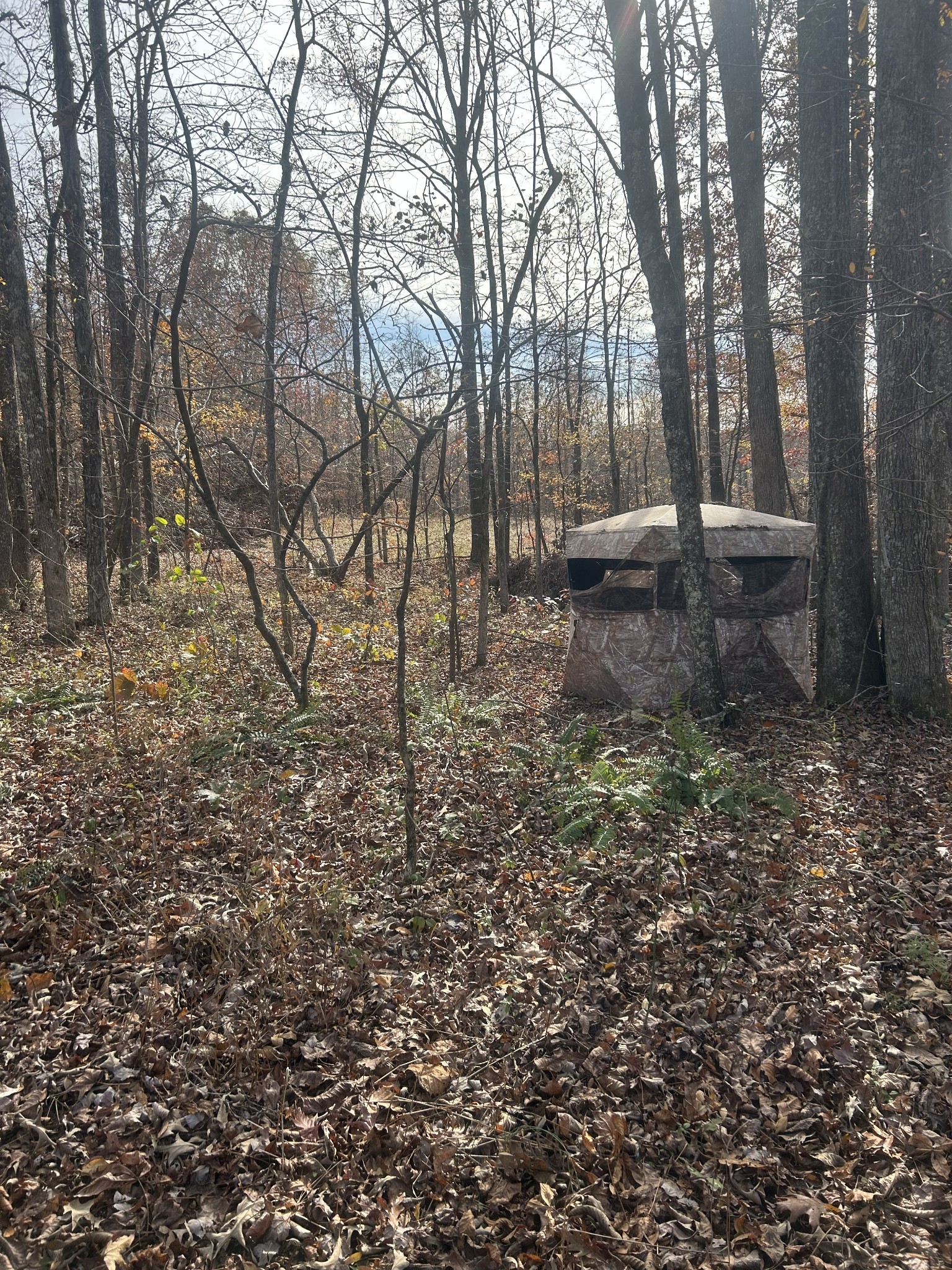 0 Sulphur Creek Road Big Sandy, TN 38221 - Photo 9 of 16