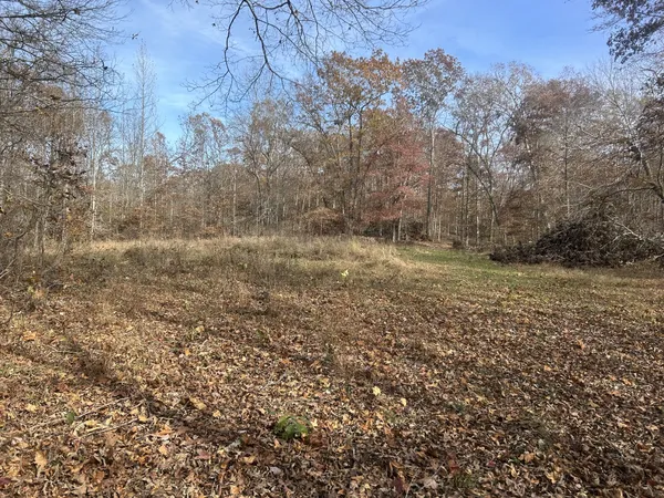 $215,000 | 0 Sulphur Creek Road, Big Sandy, TN 38221