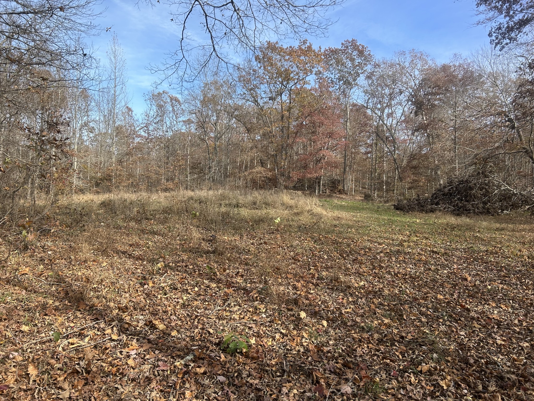 0 Sulphur Creek Road Big Sandy, TN 38221 - Photo 10 of 16