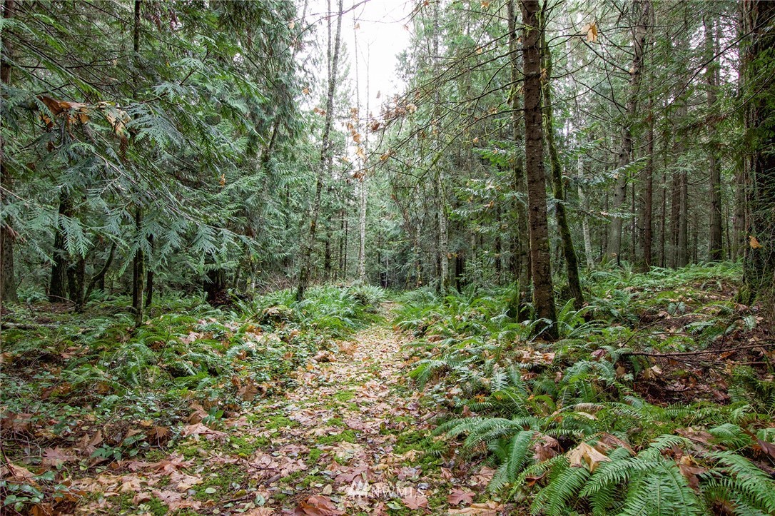 730 Quail Run Road Port Angeles, WA 98362 - Photo 40 of 40