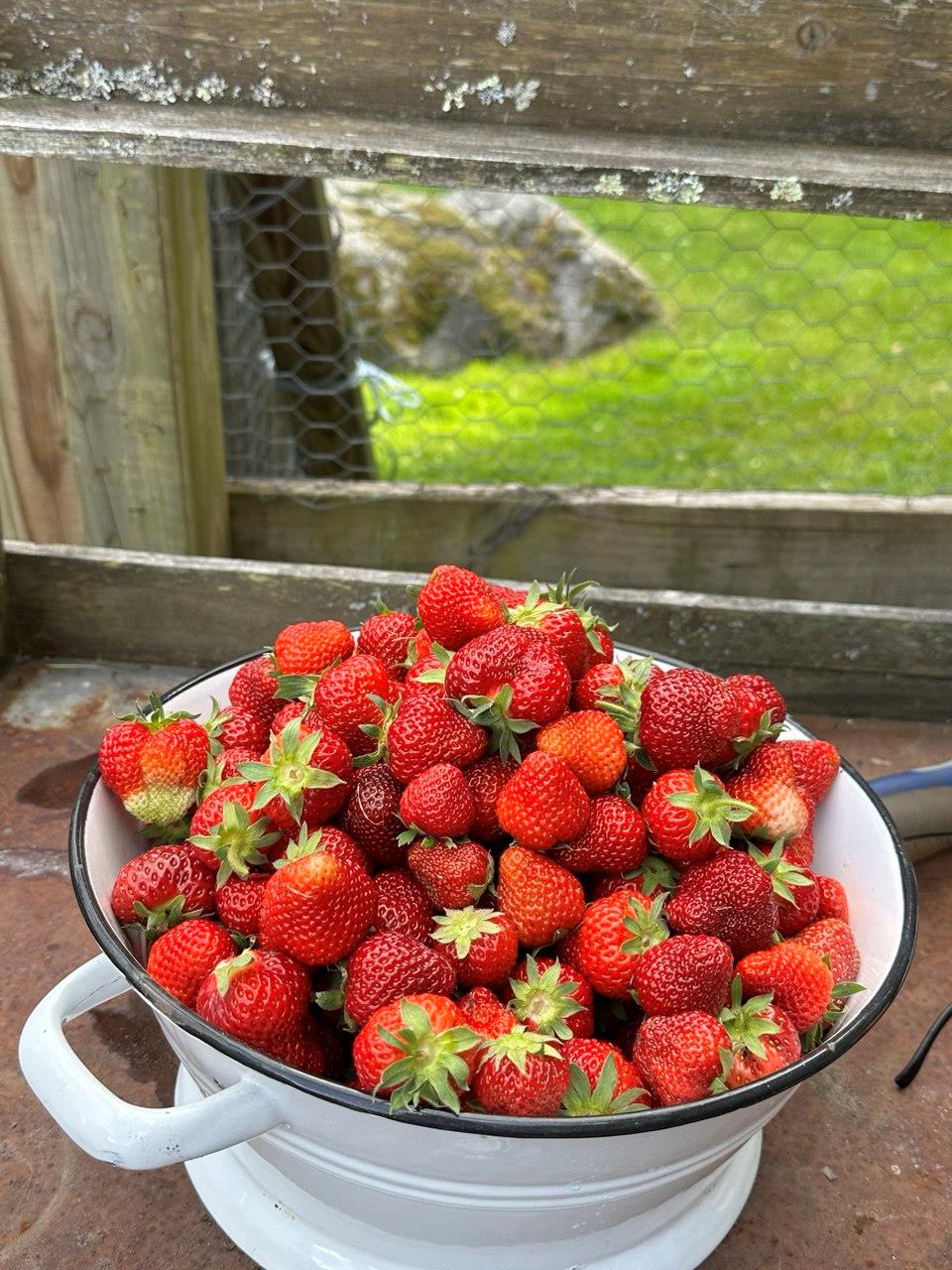 36 Chardavoyne Road Warwick, NY 10990 - Photo 33 of 46 View of details