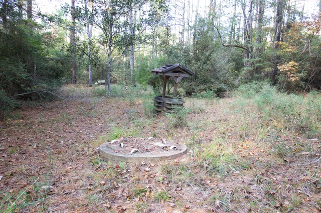a view of a trees with a yard