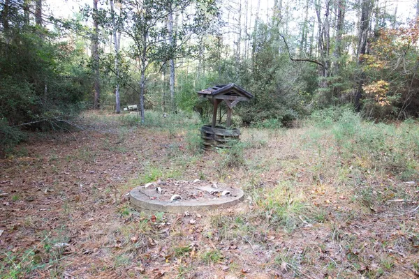 a view of a trees with a yard