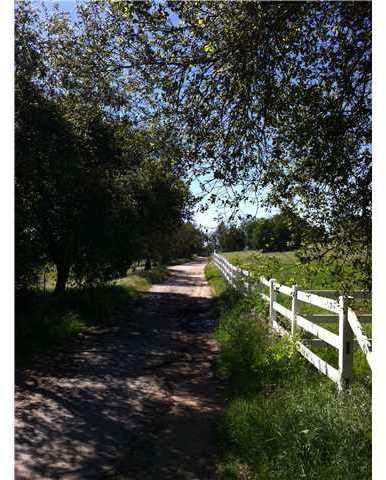2481 East Mission Road Fallbrook, CA 92028 - Photo 3 of 6 Gallery Image 3