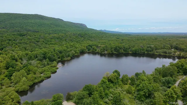 a view of a lake with a city