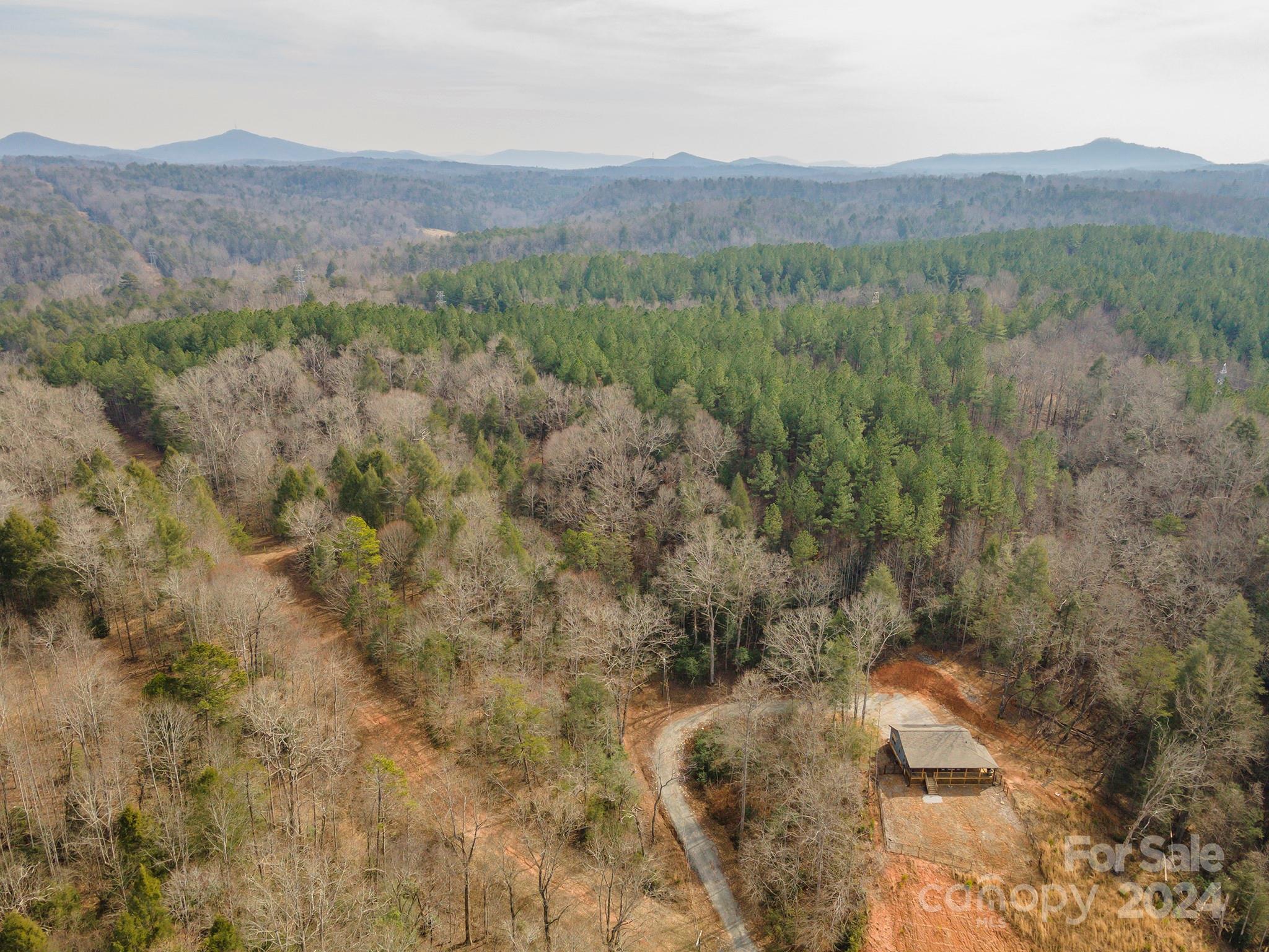 4125 Old Greenlee Road Marion, NC 28752 - Photo 30 of 48 a view of a lush green hillside and a houses