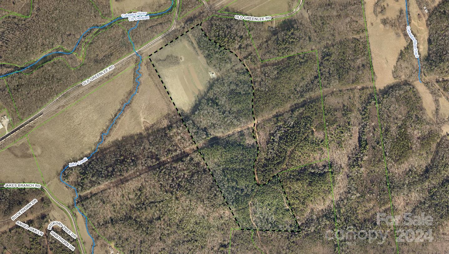 4125 Old Greenlee Road Marion, NC 28752 - Photo 3 of 48 a view of houses with sky view