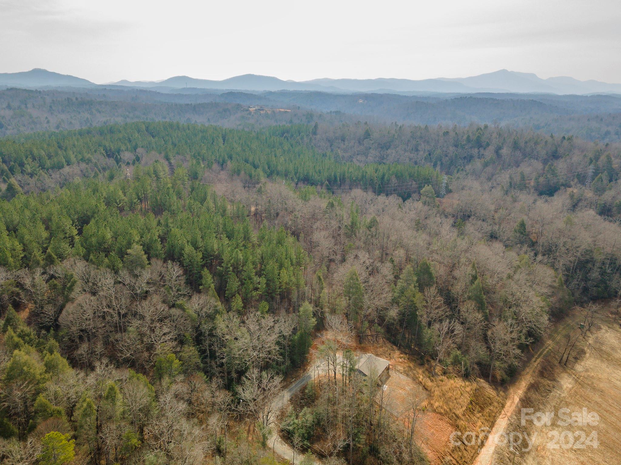 4125 Old Greenlee Road Marion, NC 28752 - Photo 31 of 48 a view of a lush green hillside and a houses