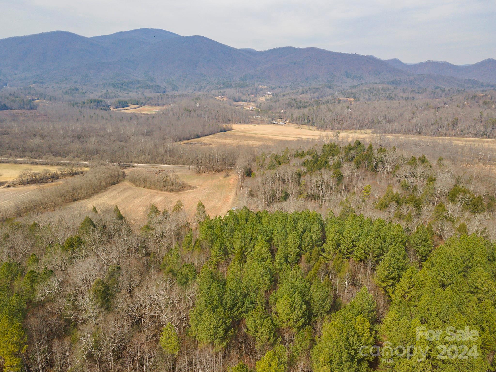 4125 Old Greenlee Road Marion, NC 28752 - Photo 36 of 48 a view of mountain and a lake view