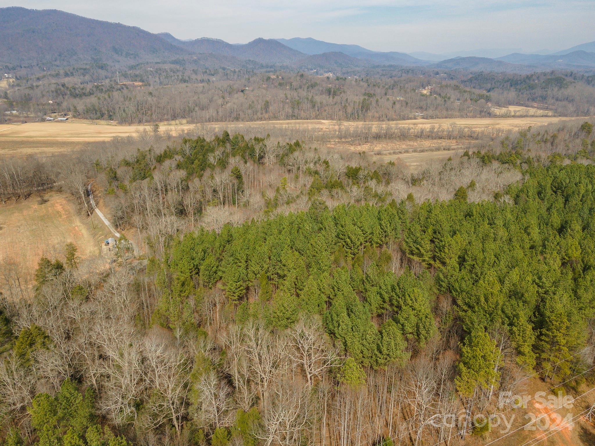 4125 Old Greenlee Road Marion, NC 28752 - Photo 37 of 48 a view of lake with mountain