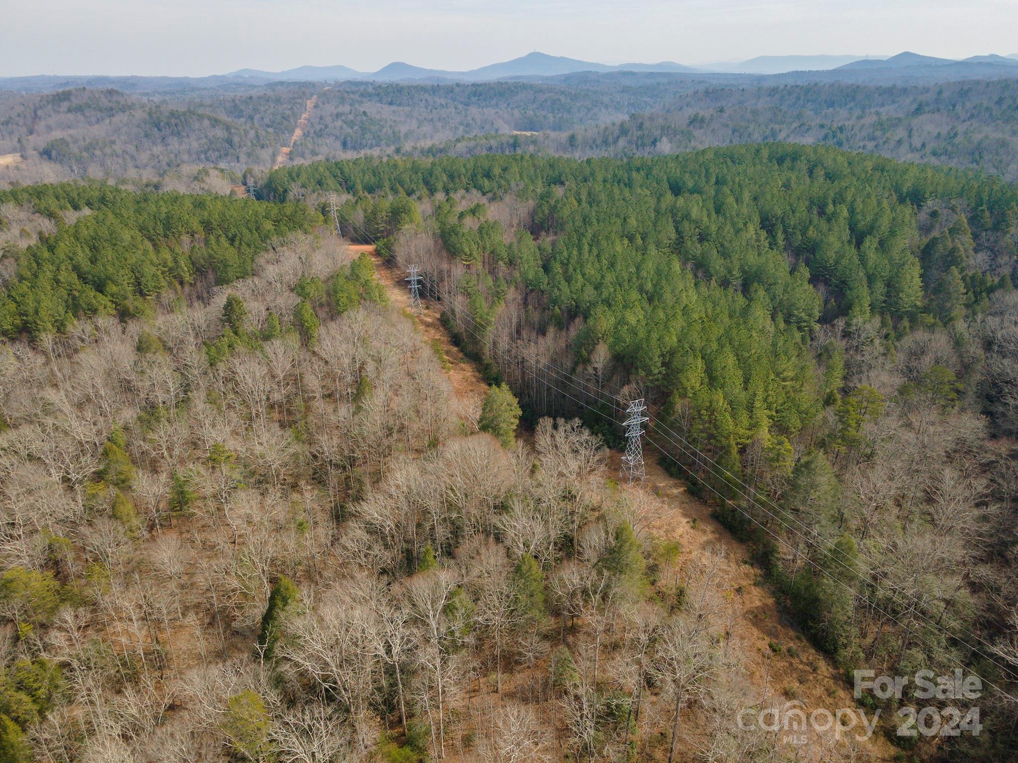 4125 Old Greenlee Road Marion, NC 28752 - Photo 39 of 48 a view of a lush green hillside and a building