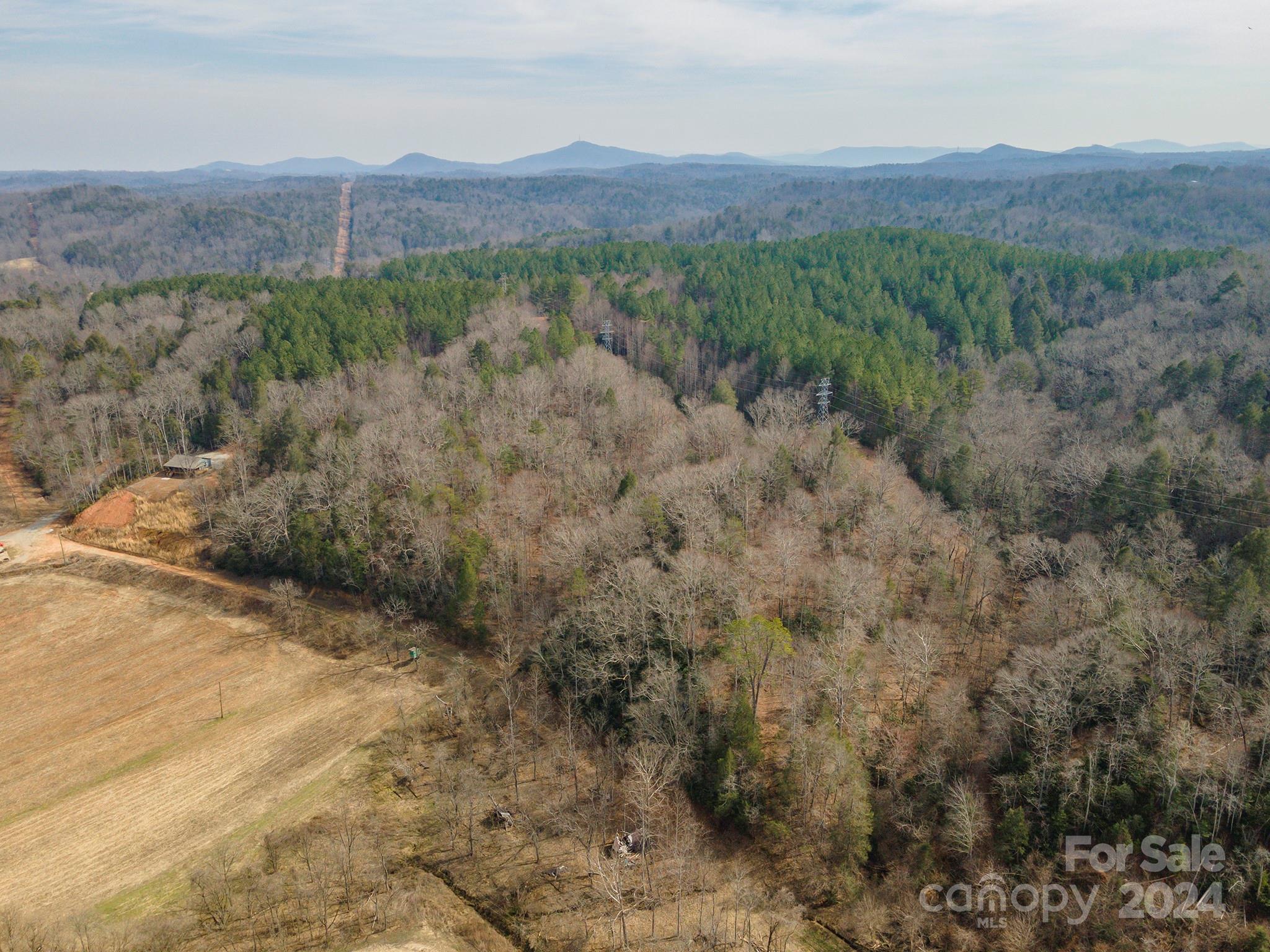 4125 Old Greenlee Road Marion, NC 28752 - Photo 40 of 48 a view of a lush green hillside and a houses