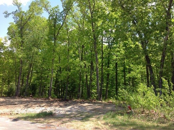 Lot 19 Turning Leaf Road Ludlow, MA 01056 - Photo 1 of 9 Gallery Image 1