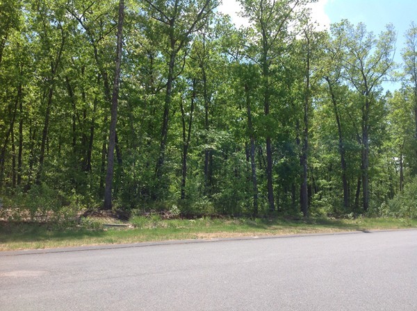 Lot 19 Turning Leaf Road Ludlow, MA 01056 - Photo 3 of 9 Gallery Image 3