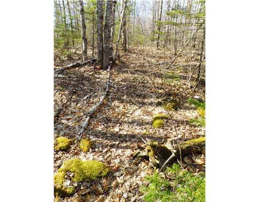 Lot 31 Lot Road Deblois, ME 04622 - Photo 8 of 14 Land/Lot. Lot is fairly level near...