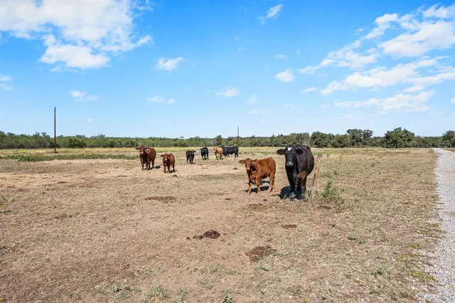 a view of a lake with beach