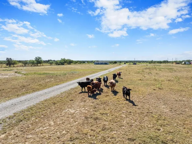 a view of a lake with houses in the background