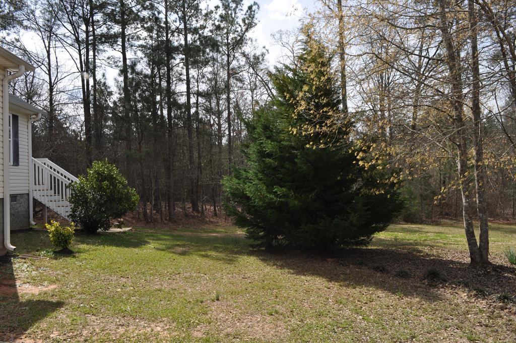 142 Old Indian Springs Road Forsyth, GA 31029 - Photo 24 of 30 a view of yard