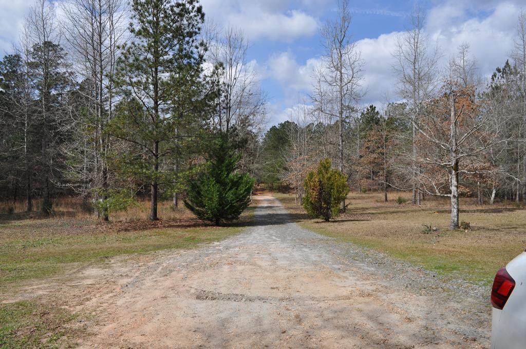 142 Old Indian Springs Road Forsyth, GA 31029 - Photo 25 of 30 a view of dirt yard with large trees