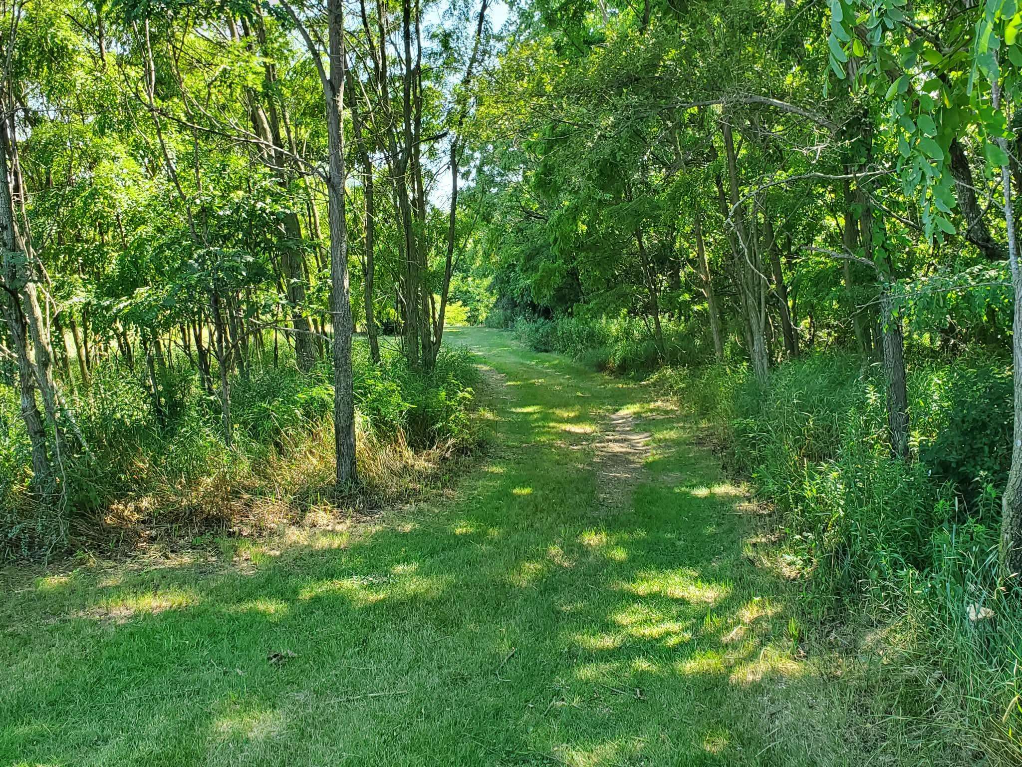 North Ransom Road Breckenridge, MI 48662 - Photo 26 of 27