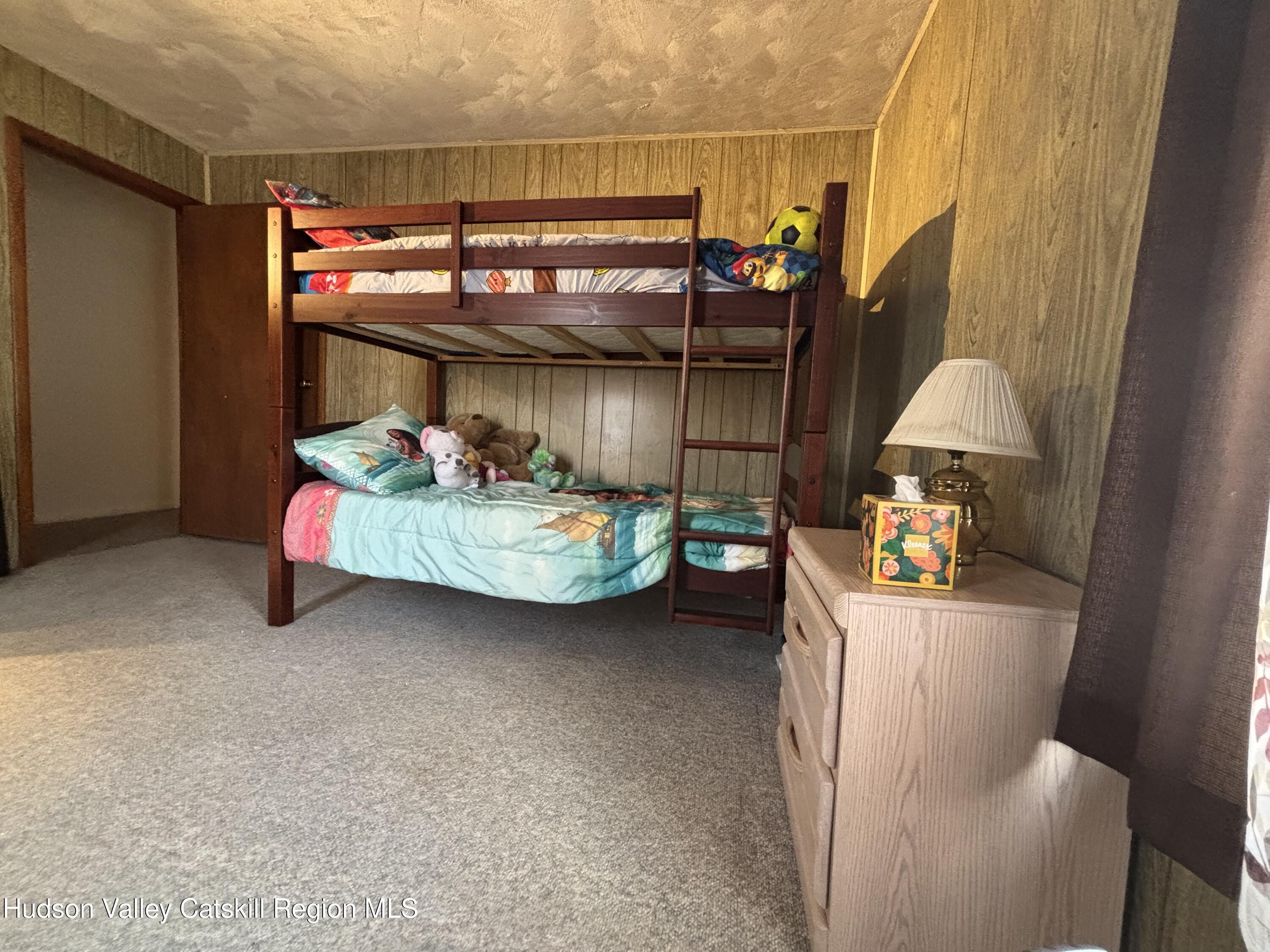 6 Maple Street Catskill, NY 12414 - Photo 13 of 20 a room with storage and utility