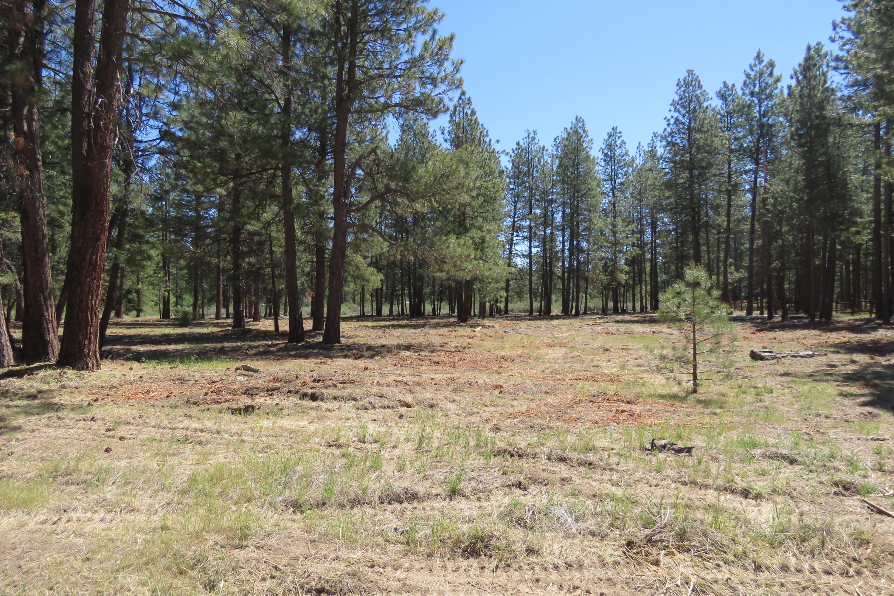 7 Castle Drive Chiloquin, OR 97624 - Photo 4 of 26 IMG_4596
