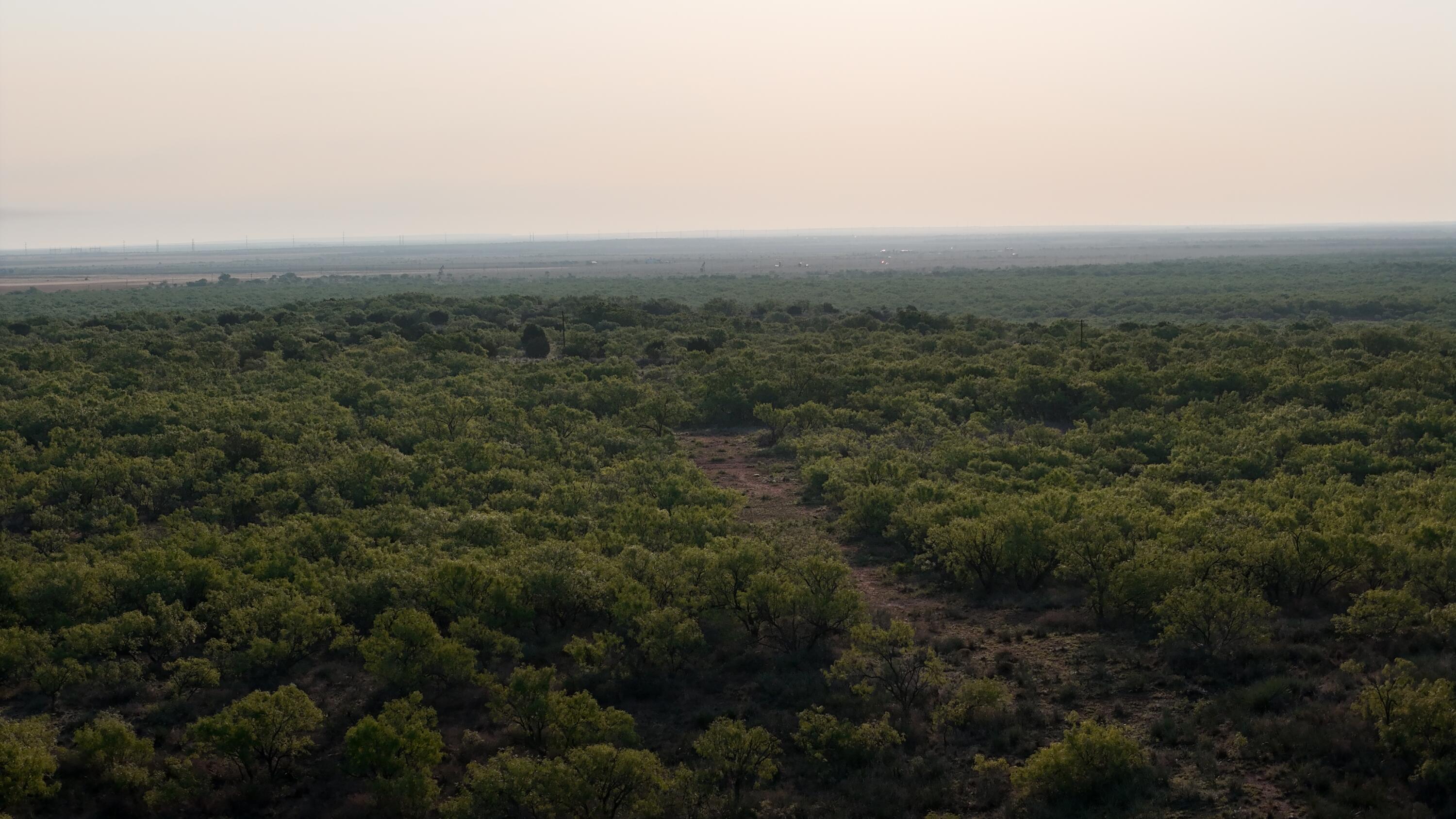 92 Texas Hamlin, TX 79520 - Photo 20 of 63 DJI_20260528072834_0098_D