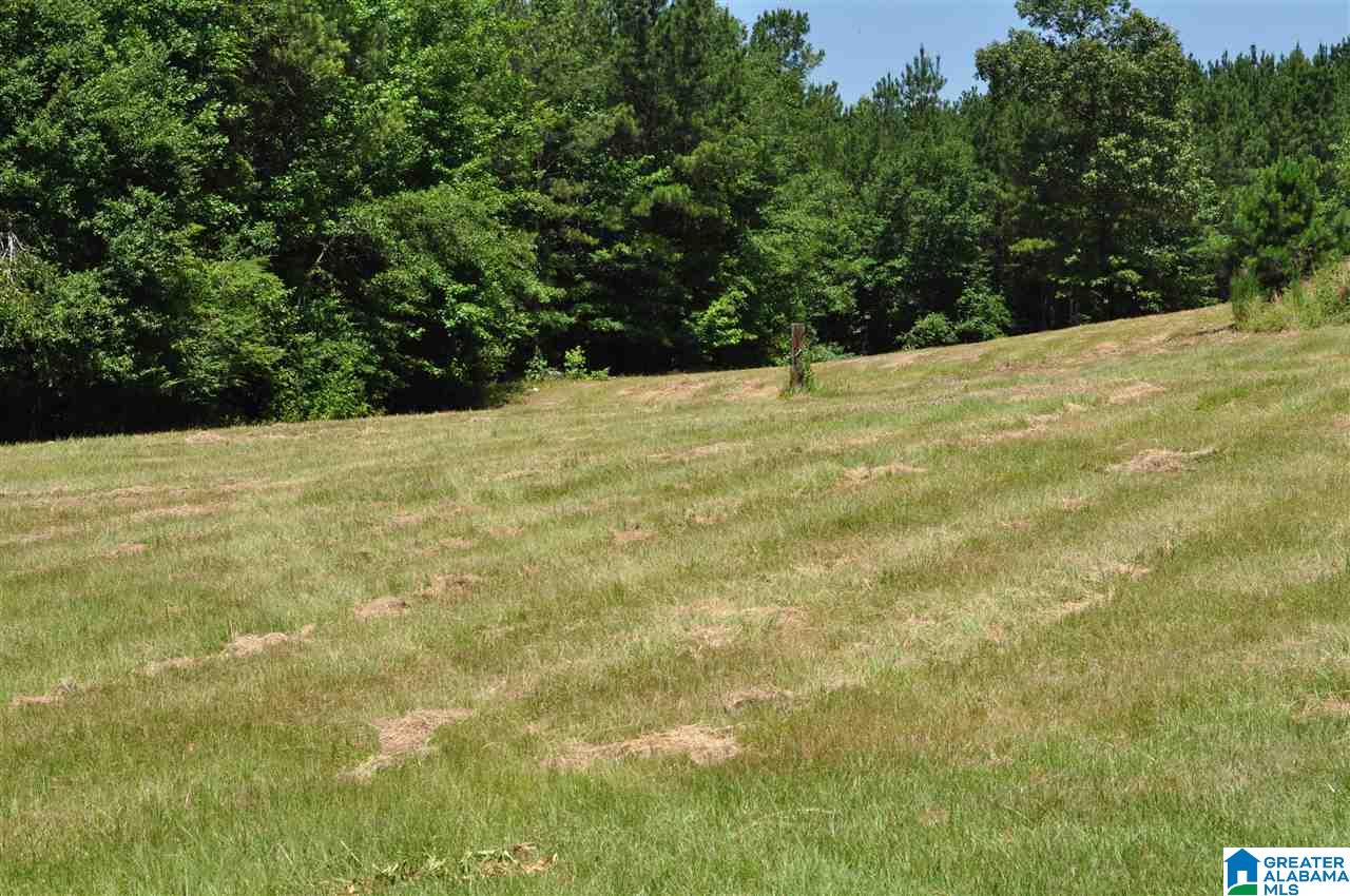 9488 County Road 9 Clanton, AL 35045 - Photo 4 of 18