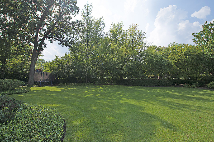 Undisclosed Address Winnetka, IL 60093 - Photo 25 of 55 a view of a grassy field with trees
