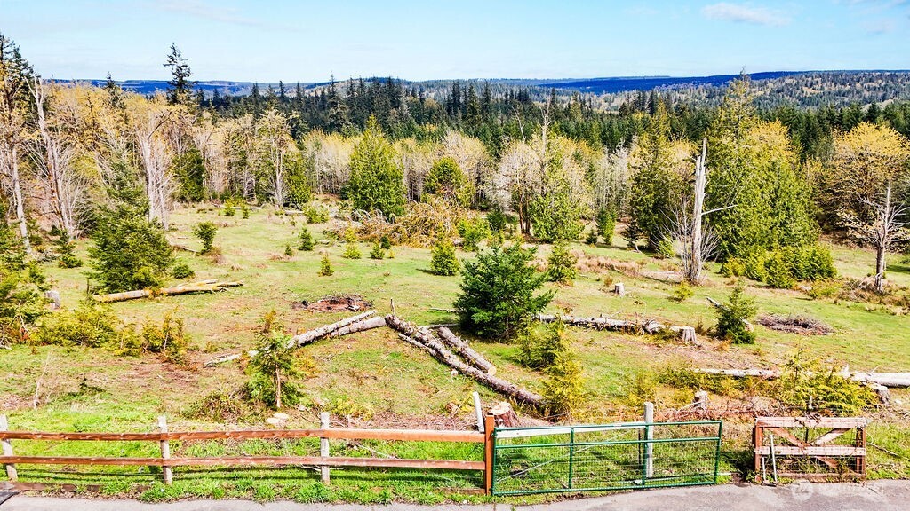 542 Doe Run Road Quilcene, WA 98376 - Photo 35 of 40