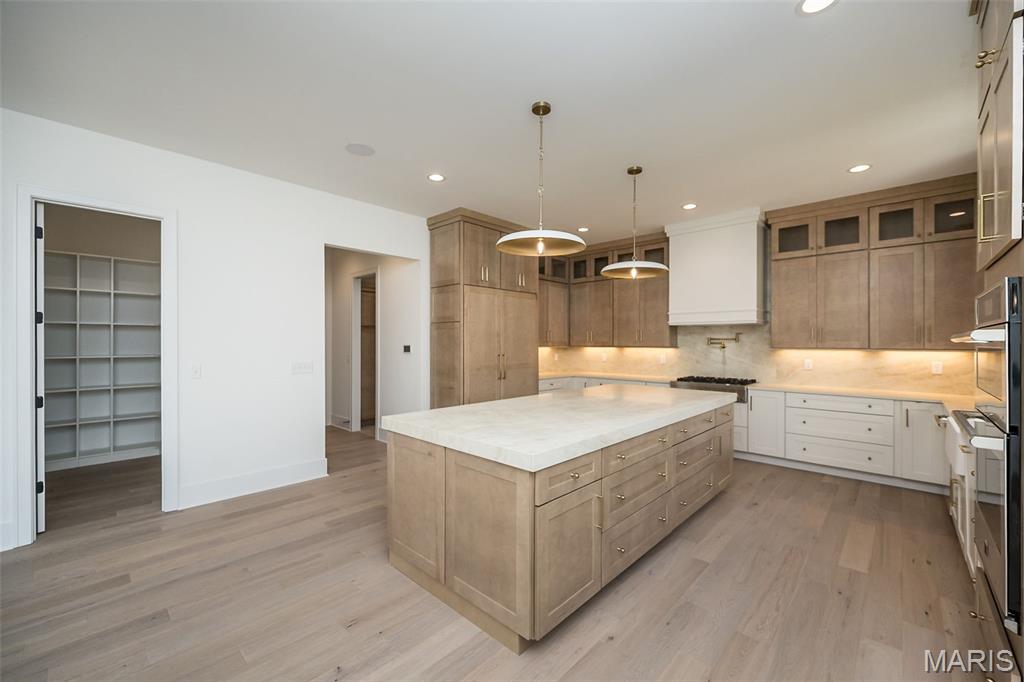 718 Silver Buck Lane Chesterfield, MO 63005 - Photo 24 of 80