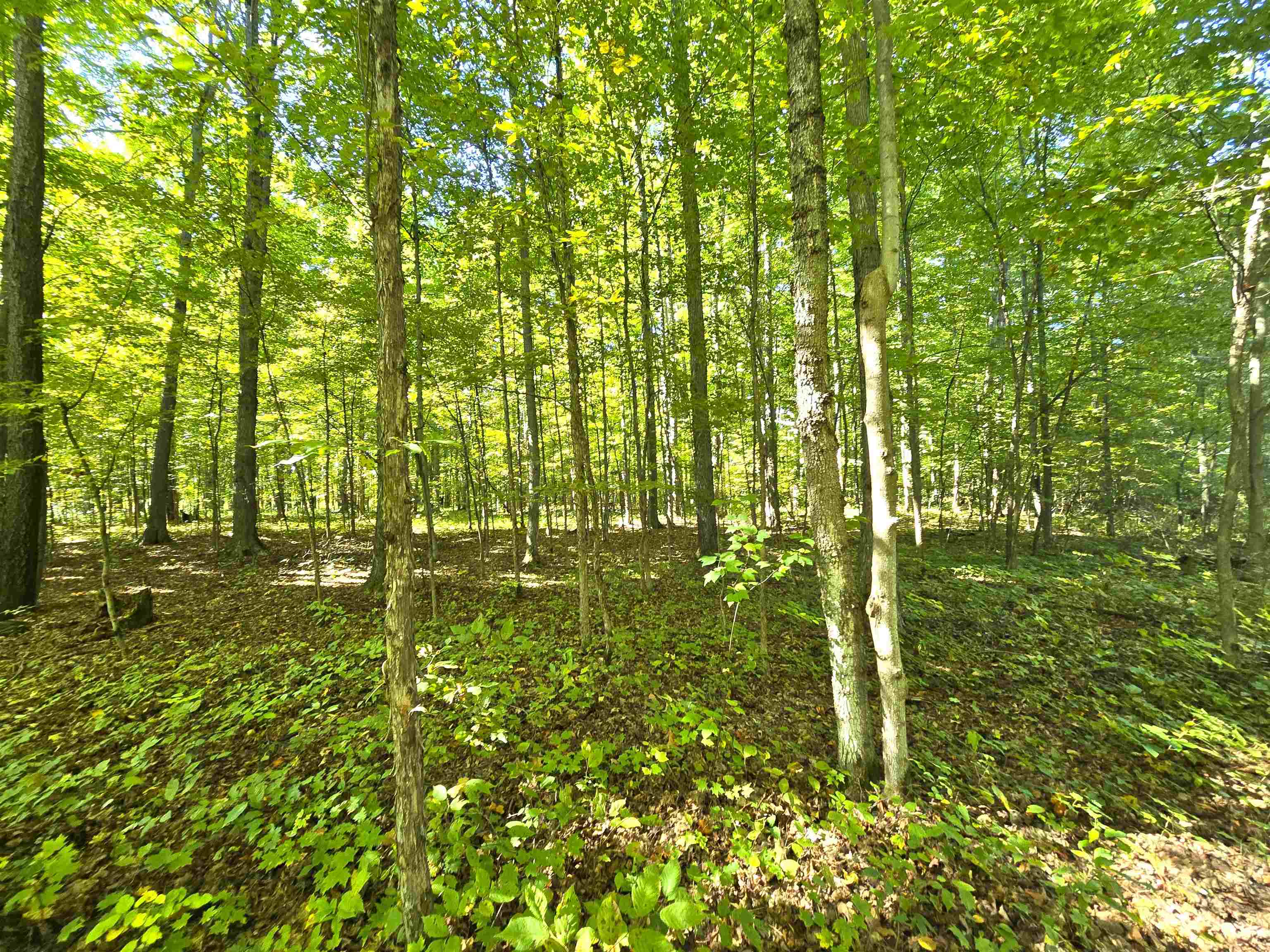 1471 North 7 Road Mesick, MI 49668 - Photo 30 of 37 Gallery Image 30