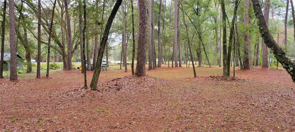 1260 Southwest 91st Street Gainesville, FL 32607 - Photo 7 of 8 a view of outdoor space with lots of trees