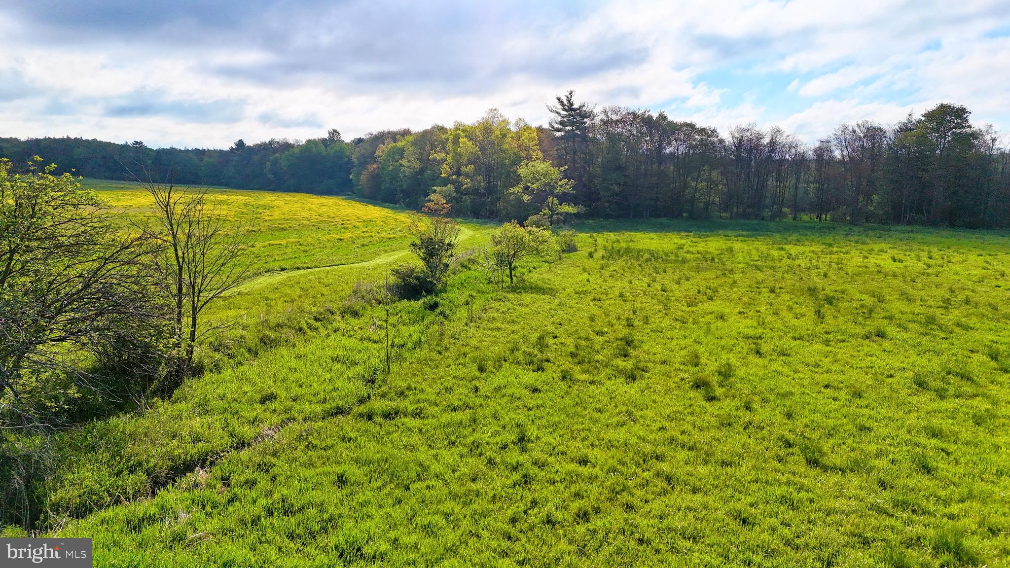 1362 Coleman Station Road Friedens, PA 15541 - Photo 6 of 25 Gallery Image 6