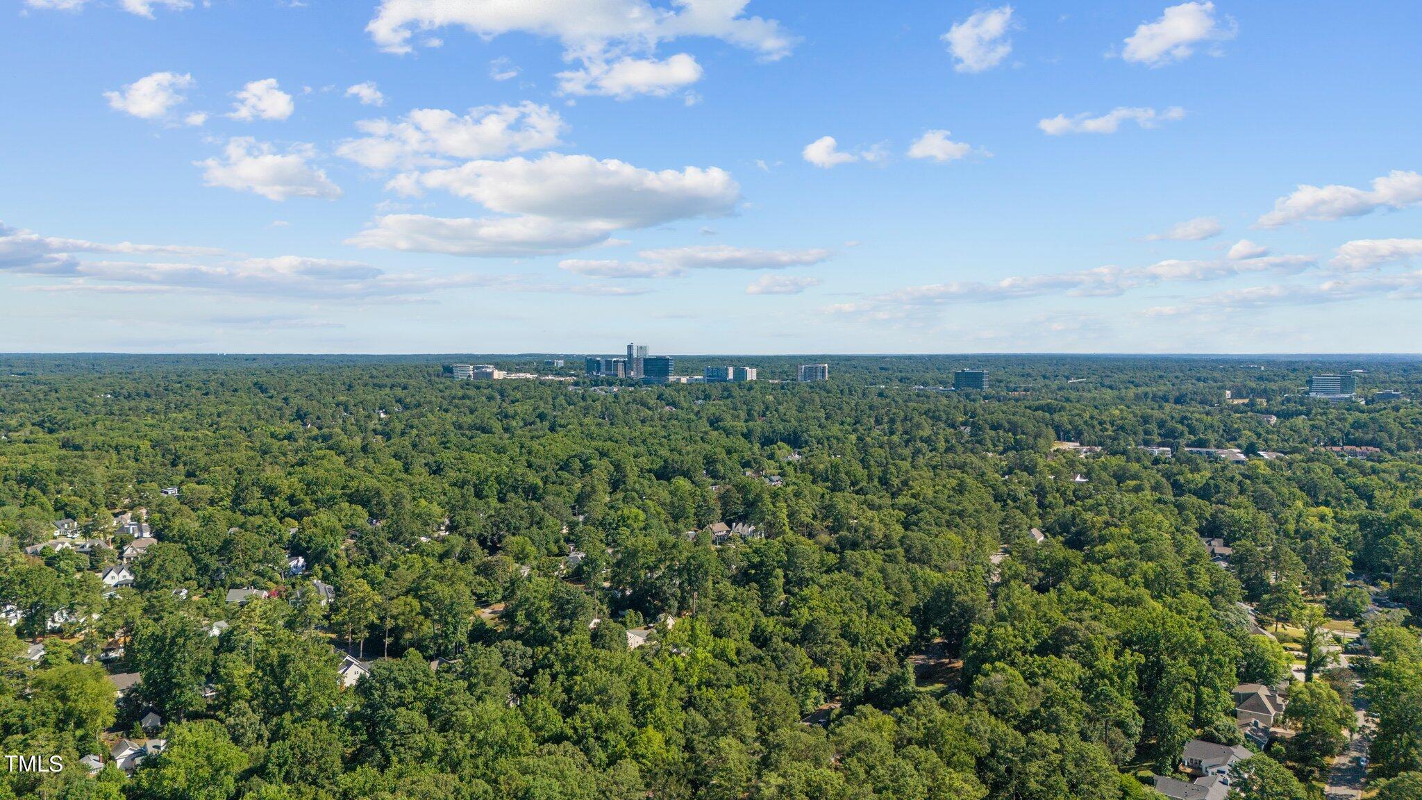 2110 Reaves Drive Raleigh, NC 27608 - Photo 35 of 36 6-web-or-mls-DJI_20240702213054_0127_D