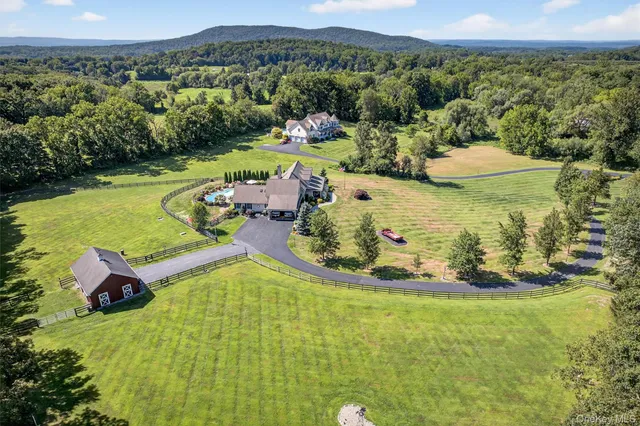 a view of a park with large trees and plants