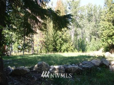 50 Harris Road Mazama, WA 98833 - Photo 1 of 1 Gallery Image 1