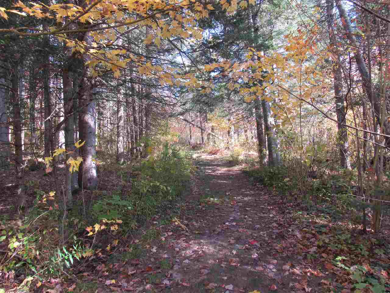 2551 Highway 114 Norton, VT 05907 - Photo 6 of 40